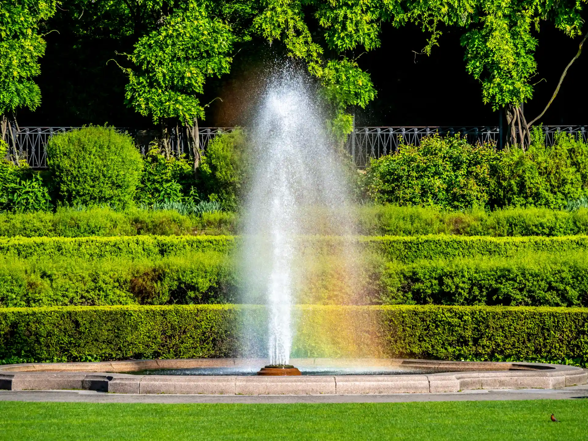 conservatory-garden-in-central-park-new-york-city-2026-01-11-10-26-52-utc-1